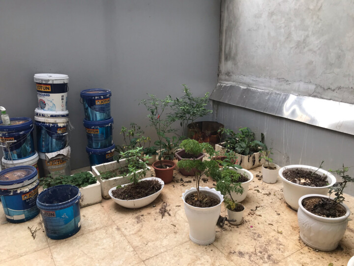 xây bồn trồng cây trên sân thượng