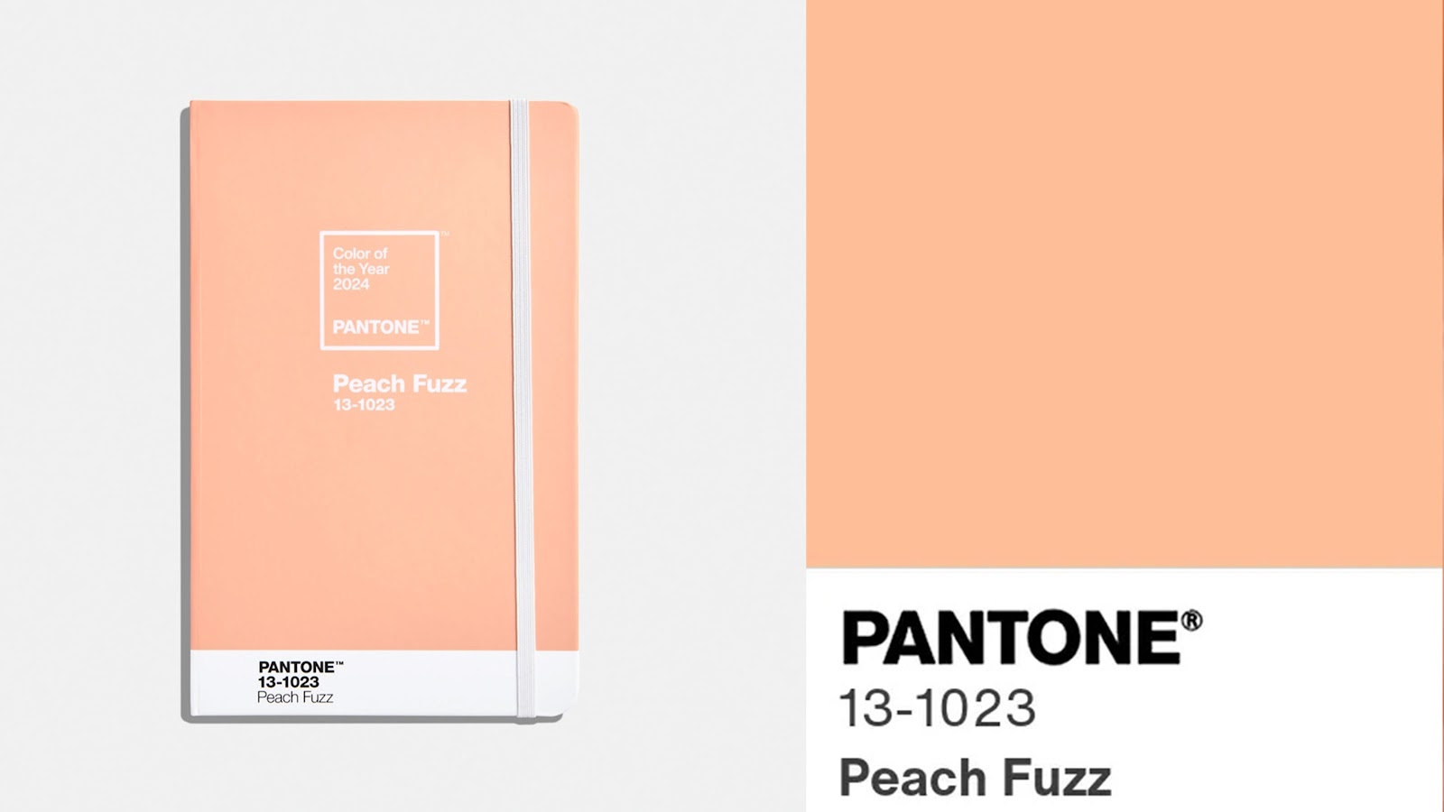 (Chính thức) Pantone công bố màu sắc 2024 Peach Fuzz với ý nghĩa đặc biệt